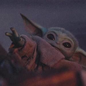 Meet your Posher, Elaina